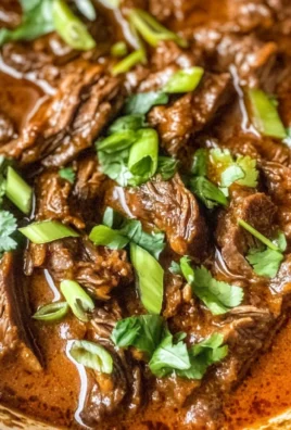Coconut Red Curry Drip Beef