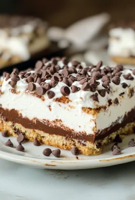 Chocolate Chip Cookie Delight Recipe